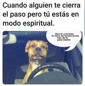 Meet your Posher, Jorge